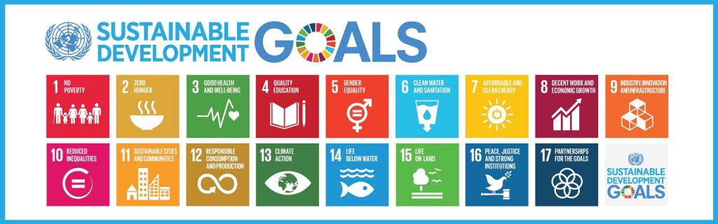 United Nations Sustainable Development Goals 17 Goals 1 No Poverty 1 Zero Hunger 3 Good Health and Well-Being