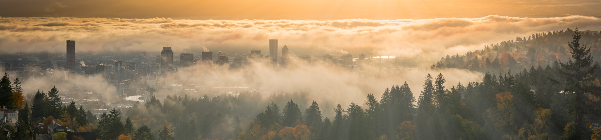 Portland Oregon Foggy Landscape